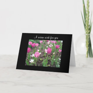Cartão Tulip patch birthday wish