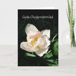 Cartão 'Tulip' Sympathy Card - Welsh Greeting