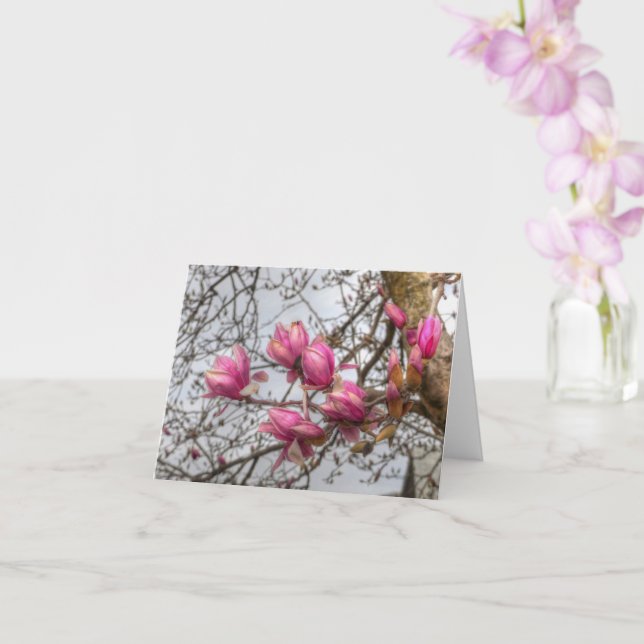 Cartão Tulip Tree Blossoms (Orquídea)