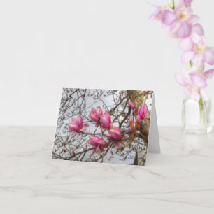 Cartão Tulip Tree Blossoms