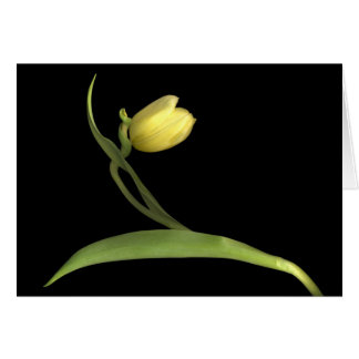 Cartão tulipa amarela