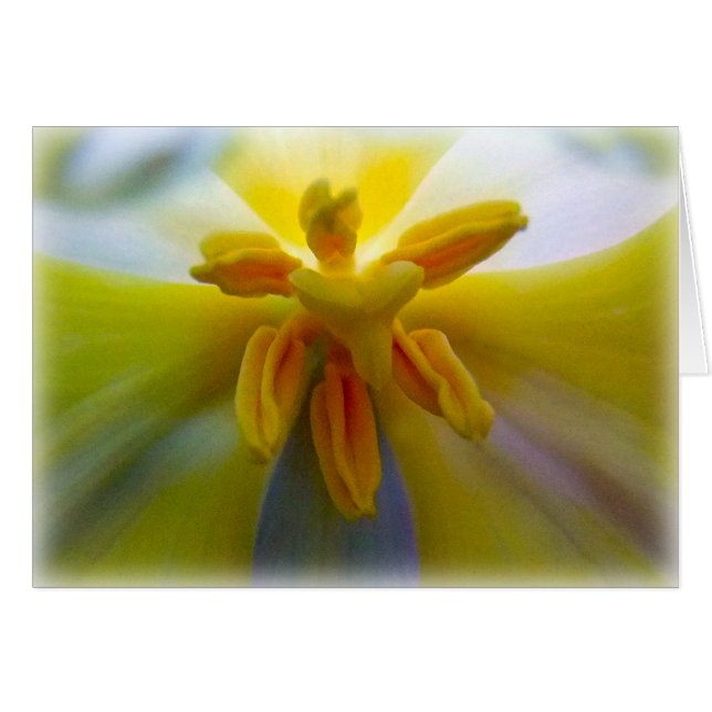 Cartão Tulipa amarela (Frente Horizontal)