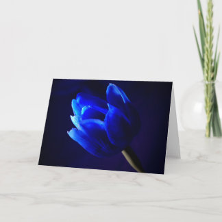 Cartão tulipa azul
