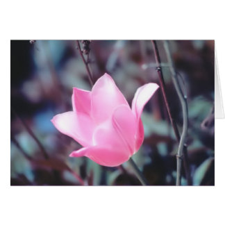 Cartão tulipa rosa