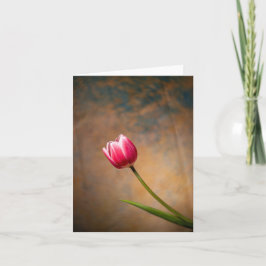 Cartão Tulipa Rosa com um Toque