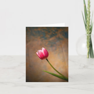 Cartão Tulipa Rosa com um Toque