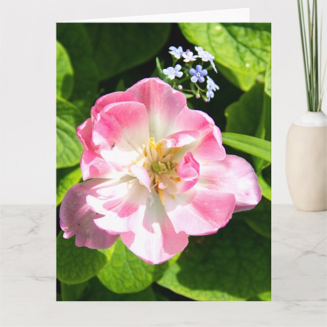 Cartão Tulipa rosa fofa (Frente)