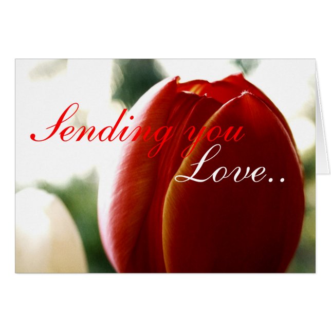 Cartão Tulipa Vermelha de Amor (Frente Horizontal)