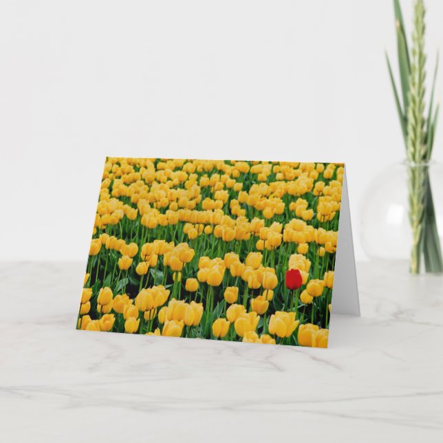 Cartão Tulipa Vermelha em um Campo de Tulipa Amarelo (Frente)