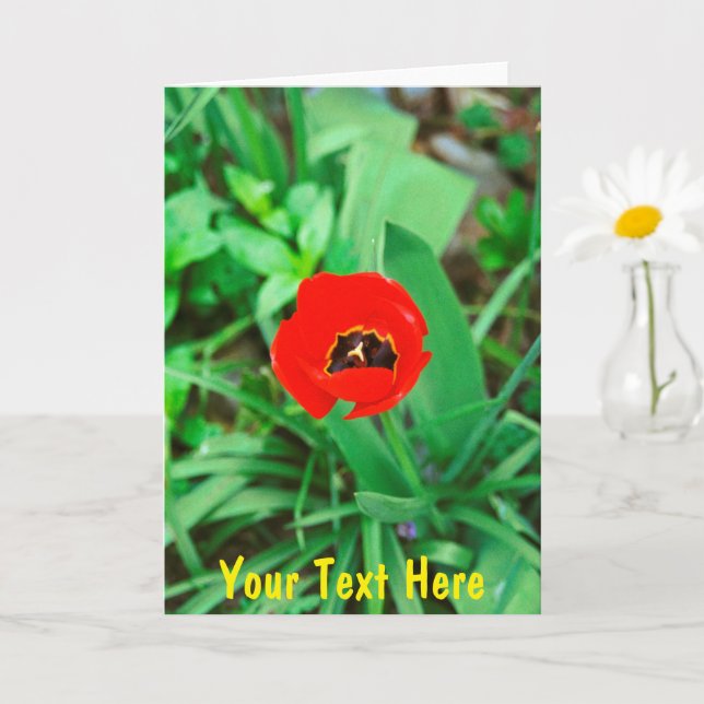 Cartão tulipa vermelha personalizável (Planta pequena)