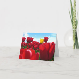 Cartão Tulipas