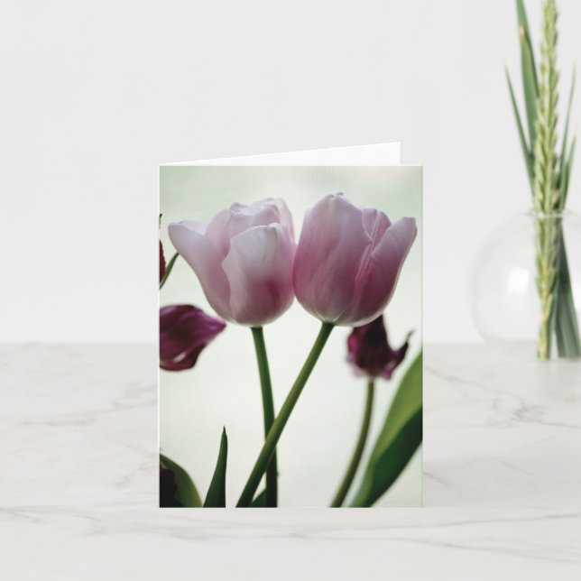 Cartão Tulipas 3259 (Frente)