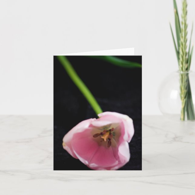 Cartão Tulipas 3272 (Frente)