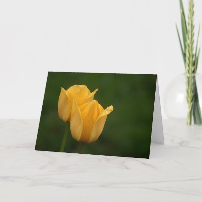 Cartão Tulipas Amarelas (Frente)