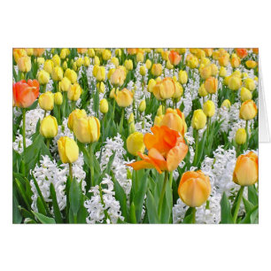 CARTÃO TULIPAS AMARELAS & ALARANJADAS BRILHANTES COM