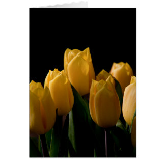 Cartão Tulipas amarelas legantes