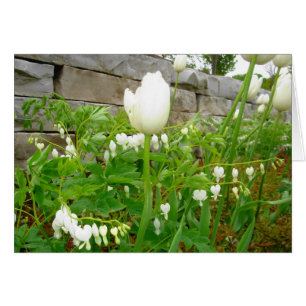 Cartão Tulipas brancas