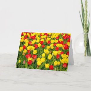 Cartão Tulipas Coloridas IV