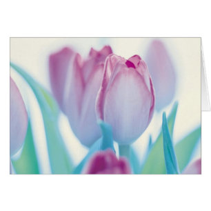 Cartão Tulipas da primavera