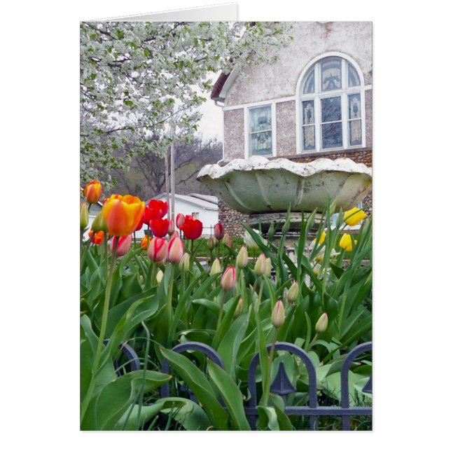 Cartão Tulipas de primavera (Frente)