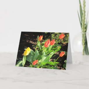 Cartão Tulipas de primavera