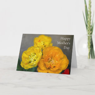Cartão Tulipas do Dia das Mães