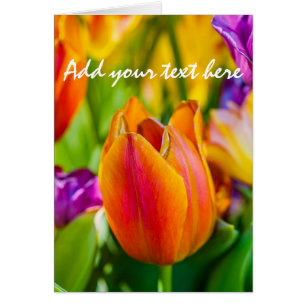 Cartão Tulipas Encantando