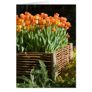 Cartão Tulipas florescentes vibrantes
