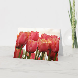 Cartão Tulipas Fotografia Coral e frango Dourado