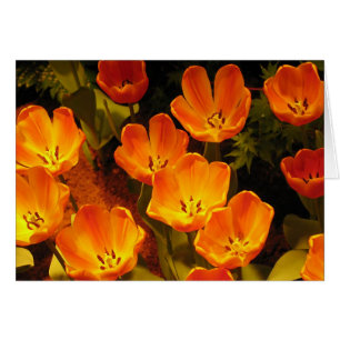 Cartão Tulipas Laranja