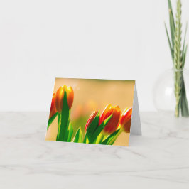 Cartão Tulipas no sol