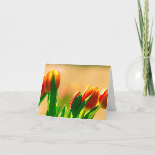 Cartão Tulipas no sol