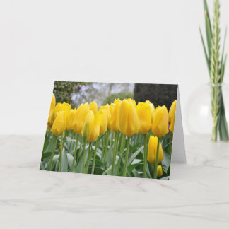 Cartão Tulipas primavera amarelas