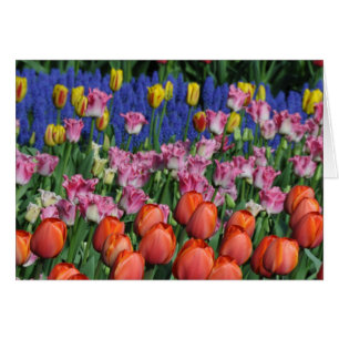Cartão Tulipas primavera coloridas