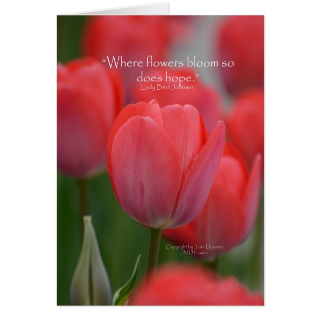 Cartão Tulipas Rosa (Frente)