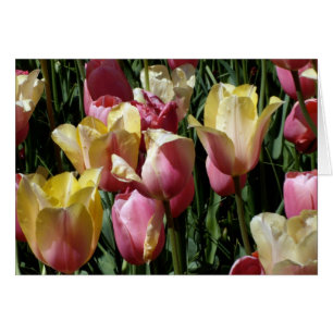 Cartão Tulipas rosa e amarela