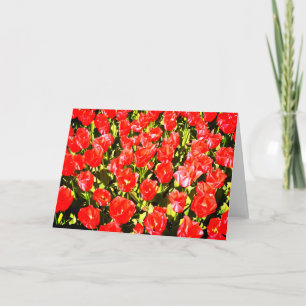Cartão Tulipas vermelhas