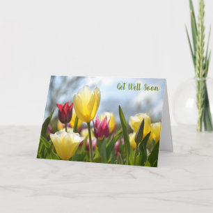 Cartão Tulipas vermelhas, amarelas e cor-de-rosa no Sol f