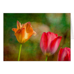 Cartão Tulipas vermelhas e amarelas em fundo texturizado