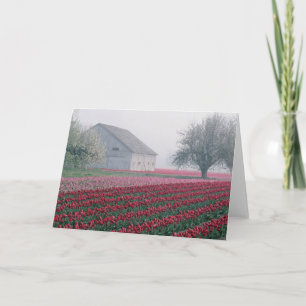 Cartão Tulipas vermelhas e cor-de-rosa saudam o dia com u
