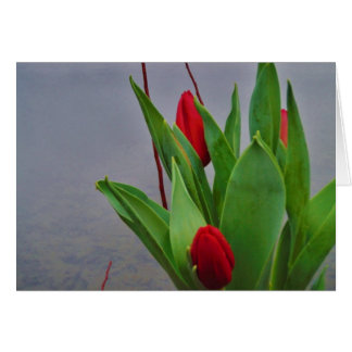 Cartão Tulipas Vermelhos Lago Azul Água da Arrohead