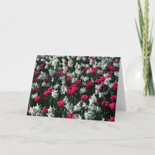 Cartão Tulips 16 Vazio