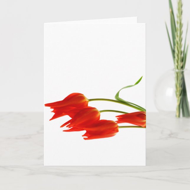 Cartão Tulips blank greetings card (Frente)