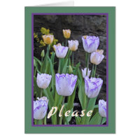 Tulips/Fiquem Bem Em Breve/De Todos Nós