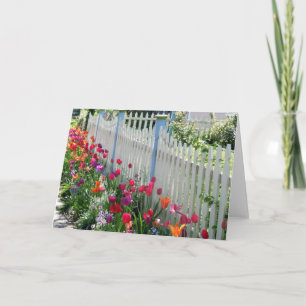 Cartão Tulips Garden Junong White Picket Fence Photo