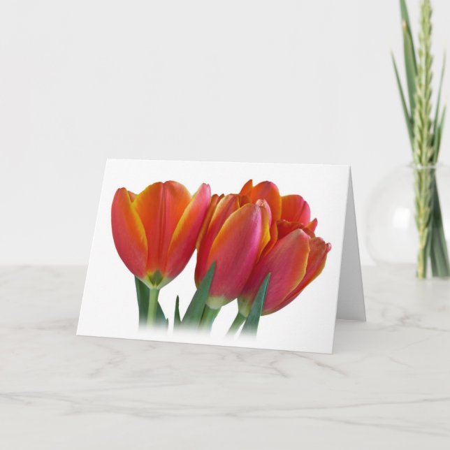 Cartão Tulips Greeting Card (Frente)