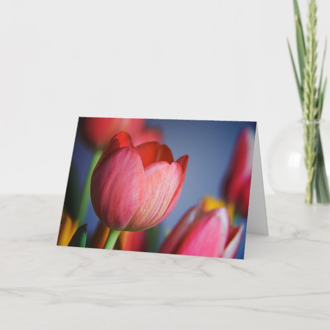 Cartão Tulips • Greeting Card (Frente)