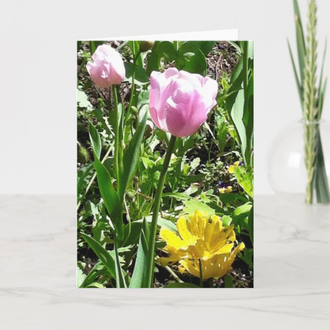 Cartão Tulips greeting card (Frente)