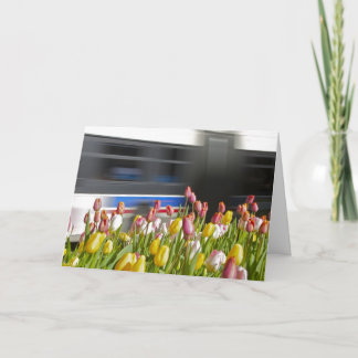 Cartão Tulips in the city wit