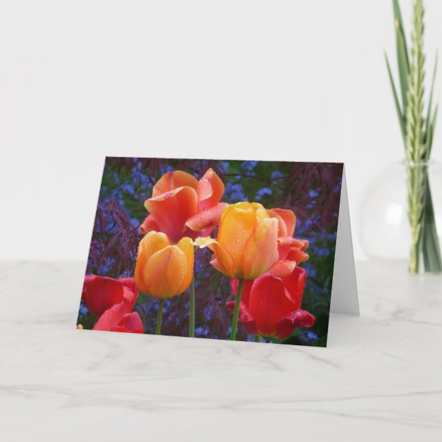 Cartão Tulips in the Rain Card (Frente)